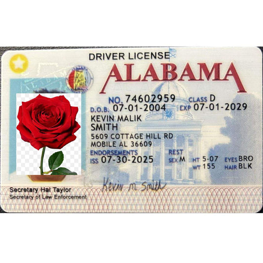 Alabama driver's license with scannable | Buy 1 Get 1 free - USA BEST FAKE ID