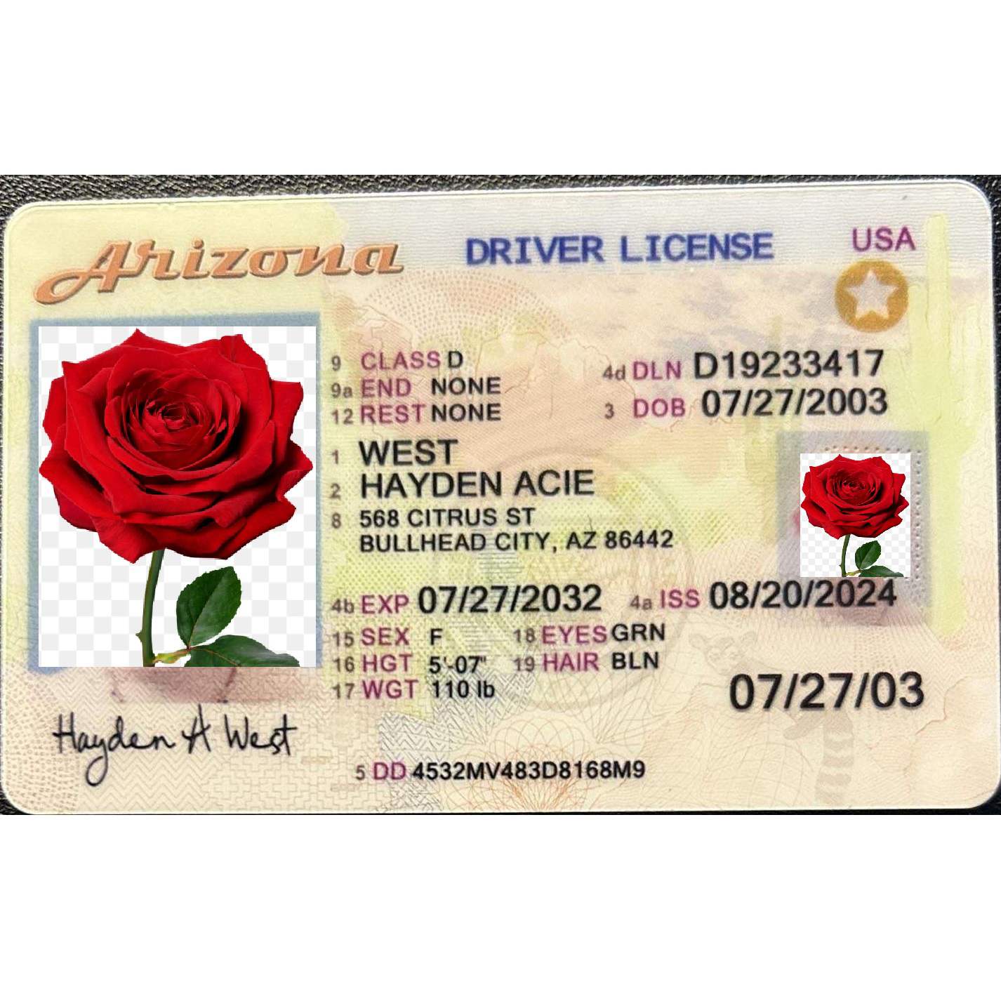 Buy Arizona Fake IDs | Free shipping cost - USA BEST FAKE ID