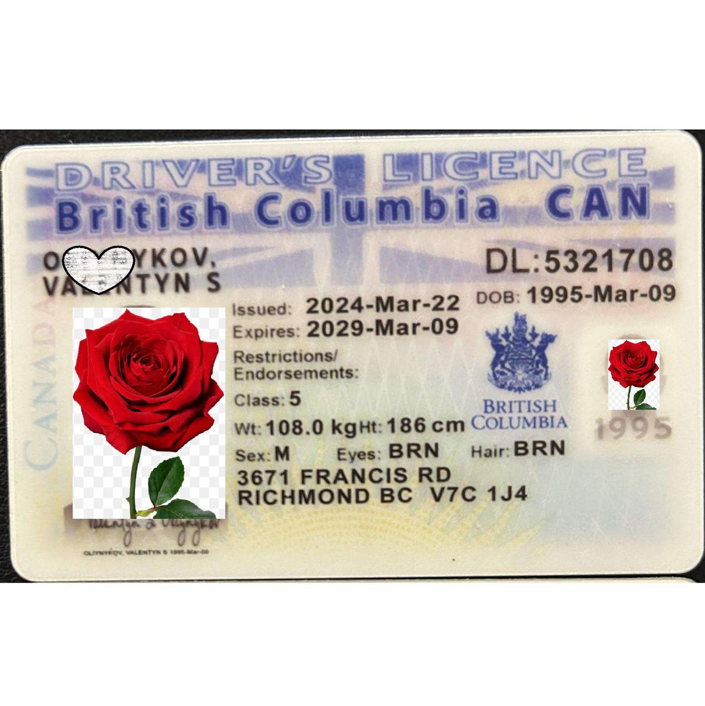 Buy British Columbia Fake IDs | Scannable | Buy 1 Get 1 free - USA BEST FAKE ID