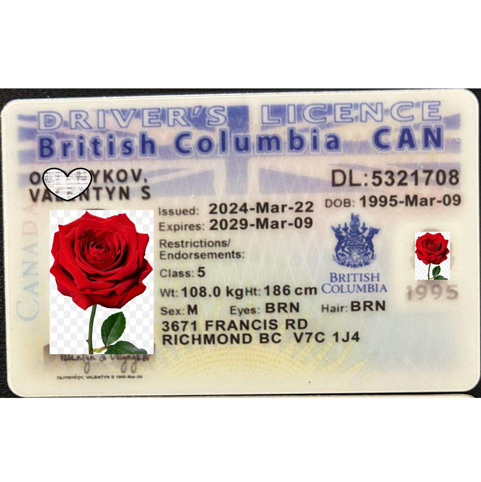 Buy British Columbia Fake IDs | Scannable | Buy 1 Get 1 free - USA BEST FAKE ID