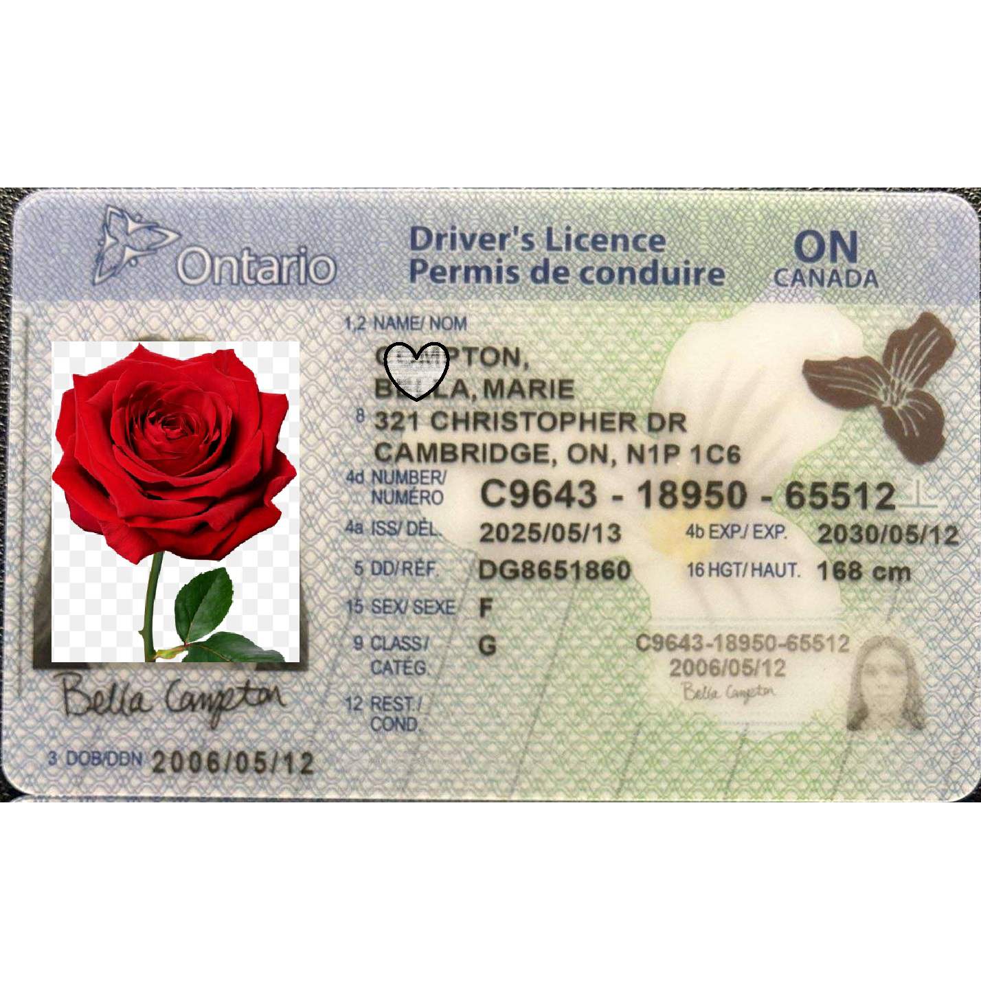 Buy Ontario Fake ID | Scannable | Buy 1 Get 1 free - USA BEST FAKE ID