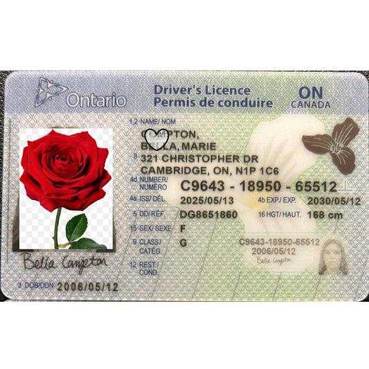 Buy Ontario Fake ID | Scannable | Buy 1 Get 1 free - USA BEST FAKE ID