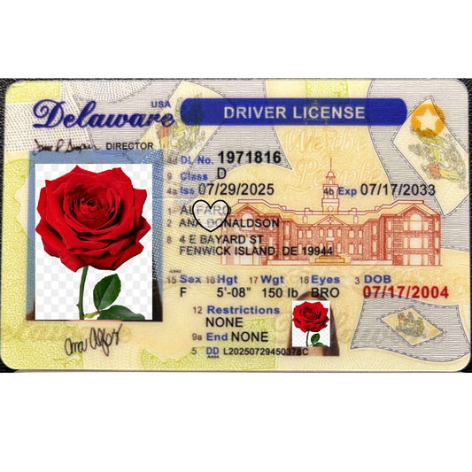 Buy Delaware Fake ID | Scannable | Buy 1 Get 1 free - USA BEST FAKE ID