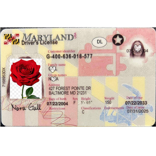 Buy Maryland Fake ID | Scannable | Buy 1 Get 1 free - USA BEST FAKE ID