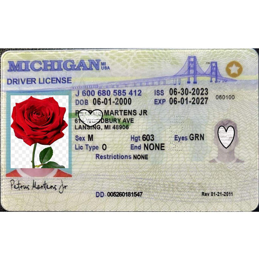 Buy Michigan Fake ID | Scannable | Buy 1 Get 1 free - USA BEST FAKE ID