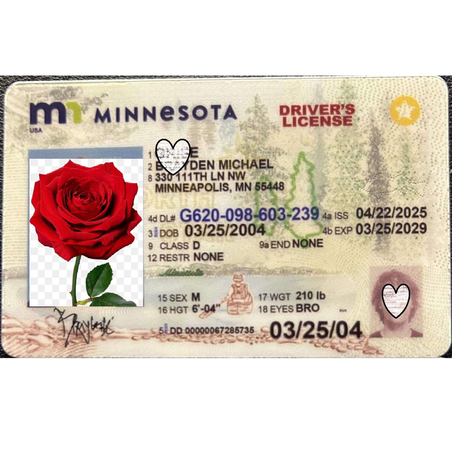 Buy Minnesota Fake ID | Scannable | Buy 1 Get 1 free - USA BEST FAKE ID
