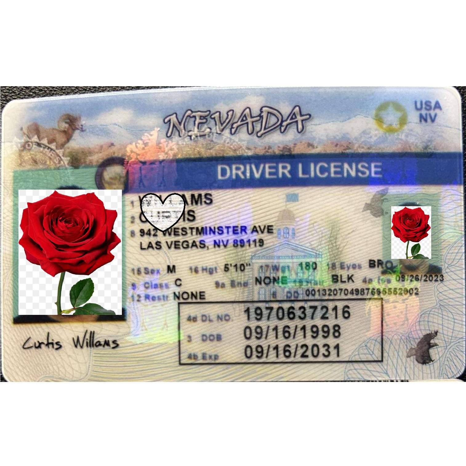 Buy Nevada Fake ID | Scannable | Buy 1 Get 1 free - USA BEST FAKE ID