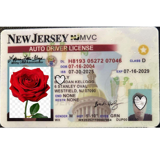 Buy New Jersey Fake ID | Scannable | Buy 1 Get 1 free - USA BEST FAKE ID
