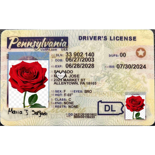 Buy Pennsylvania Fake ID | Scannable | Buy 1 Get 1 free - USA BEST FAKE ID