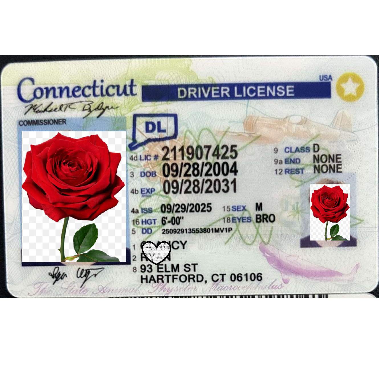 Buy Connecticut Fake ID | Scannable | Buy 1 Get 1 free - USA BEST FAKE ID