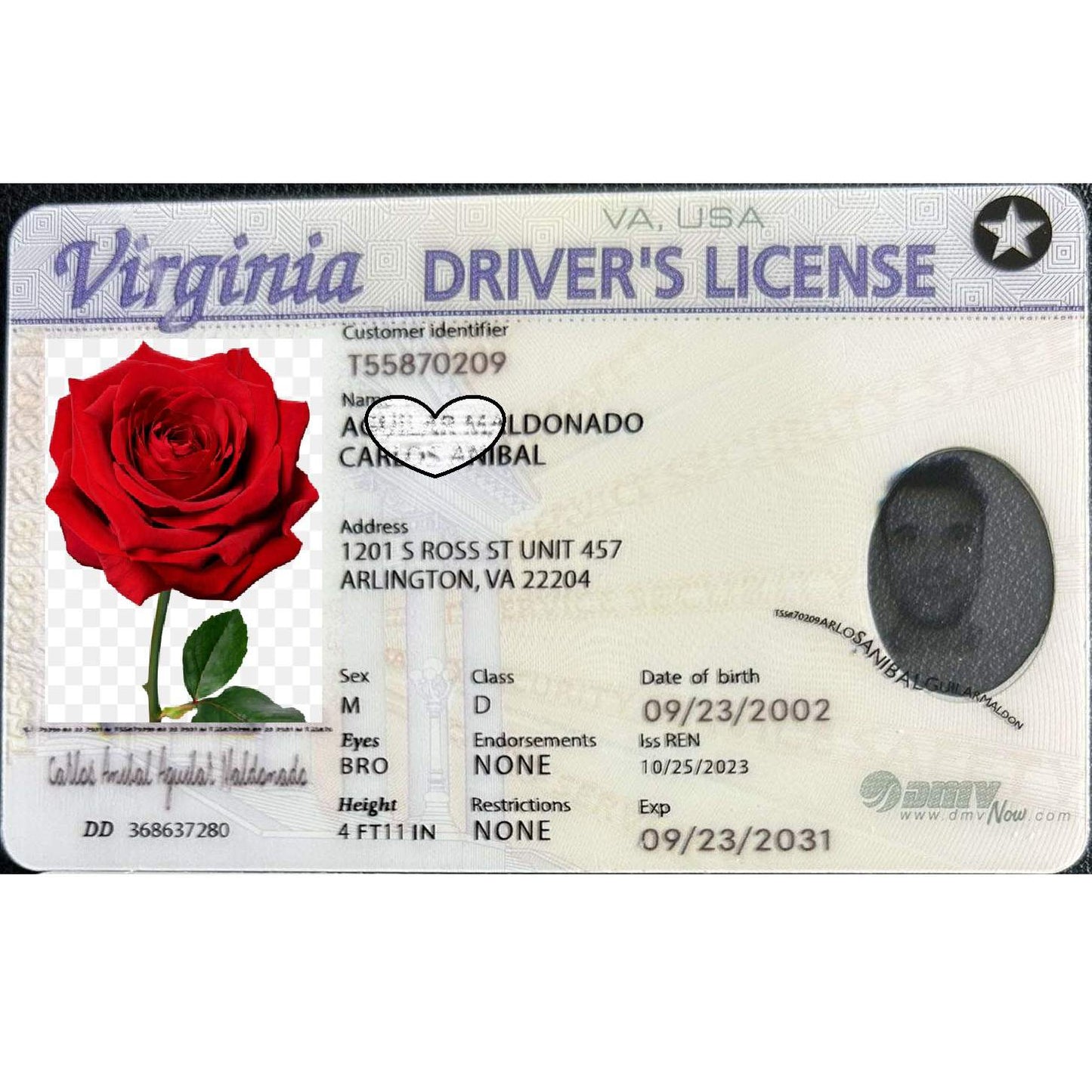 Buy Virginia Fake ID | Scannable | Buy 1 Get 1 free - USA BEST FAKE ID